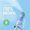 imageFebreze Air Effects Wood Scent Air Freshener 88 oz Can Pack of 31 Count Pack of 2
