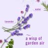 imageFebreze Air Lavender 88 Oz Aerosol Spray88 Fl Oz Pack of 2
