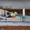 imageFebreze Air Mist Air Freshener Spray OdorFighting Room Spray Air Fresheners for Home and Bathroom and Kitchen Aerosol Can Heavy Duty Crisp Clean Scent 88oz 3 CountHD Pet