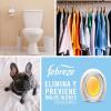 imageFebreze Bathroom Air Freshener OdorFighting Plug In Alternative Air Fresheners for Home and Bathroom and Kitchen Closet Air Fresheners Ocean Scent 4 Count1 Count Pack of 1