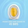 imageFebreze Bathroom Air Freshener OdorFighting Plug In Alternative Air Fresheners for Home and Bathroom and Kitchen Closet Air Fresheners Ocean Scent 4 Count025 Fl Oz Pack of 2