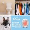 imageFebreze Bathroom Air Freshener OdorFighting Plug In Alternative Air Fresheners for Home and Bathroom and Kitchen Closet Air Fresheners Ocean Scent 4 Count1 Count Pack of 1