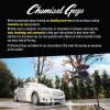 imageChemical Guys ACC1001R Creeper Rolling Bucket Dolly for Car Washing Detailing Garage ampamp More