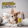 imageChemical Guys Furbidden Pet Stain Remover for Car ampamp Home Carpet ampamp Upholstery Cleaner Eliminates Pet Odors ampamp Stains from Urine ampamp Vomit MultiSurface Pet Odor Neutralizer  from 32 Fl Oz
