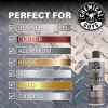 imageChemical Guys SPI40916 Light ampamp Heavy Metal Polish Kit Restore Protect and Shine All Metal Surfaces 216 fl ozHeavy Metal Polish