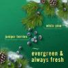 imageFebreze Air Mist Air Freshener Spray OdorFighting Room Spray Air Fresheners for Home and Bathroom and Kitchen Aerosol Can White Pine ampamp Juniper Berry Scent 88oz 2 Count88 Ounce Pack of 2
