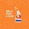imageFebreze Fabric Spray Odor Eliminator for Strong Odor Sanitizing and Antimicrobial 32 fl oz 2 Count32 Ounce Pack of 2