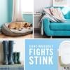 imageFebreze OdorFighting Fade Defy PLUG Air Freshener Downy April Fresh Gain Original Linen ampamp Sky 3 87 fl oz Oil RefillsOcean