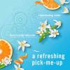 imageFebreze Bathroom Air Freshener OdorFighting Plug In Alternative Air Fresheners for Home and Bathroom and Kitchen Closet Air Fresheners Refresh ampamp Energize Scent 4 Count
