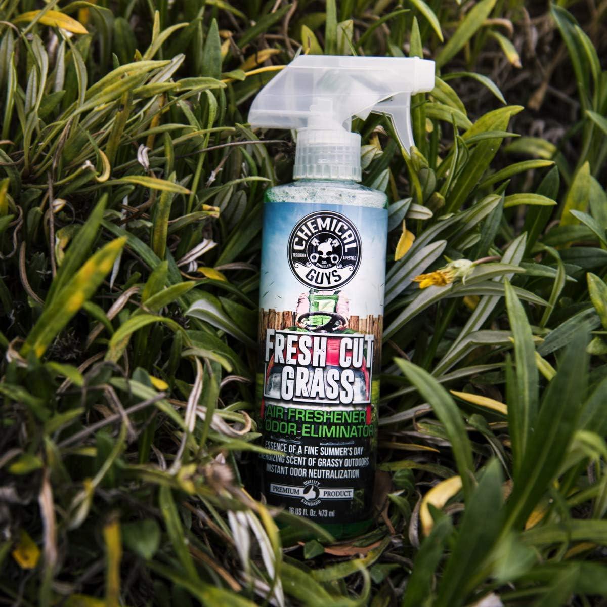 imageChemical Guys AIR24304 Fresh Cut Grass Scent Air Freshener ampamp Odor Eliminator Great for Cars Trucks SUVs RVs Home Office Dorm Room ampamp More 4 fl oz