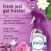 imageFebreze Air Mist Air Freshener Odor Fighting Room Spray Deodorizer for Home Bathroom Kitchen Office Apartment Lilac Sunrise Warm Ocean Breeze Summer Golden Hour Variety Pack 81oz Pack of 3Lilac