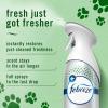 imageFebreze Air Mist Air Freshener Spray Odor Fighting Room Spray Deodorizer for Home Bathroom Kitchen Office Apartment Dorm Room Classroom Kitchen Odor Fighter Fresh Lemon Scent 81ozHeavy Duty Pet Fresh