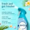 imageFebreze Air Mist Air Freshener Spray Odor Fighting Room Spray Deodorizer for Home Bathroom Kitchen Office Apartment Dorm Room Classroom Linen amp Sky Scent 81oz Pack of 6Bora Bora