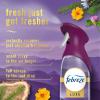 imageFebreze Air Mist Air Freshener Spray Odor Fighting Room Spray Deodorizer for Home Bathroom Kitchen Office Apartment Dorm Room Classroom Unstopables Fresh Scent 81oz Pack of 3Mountain
